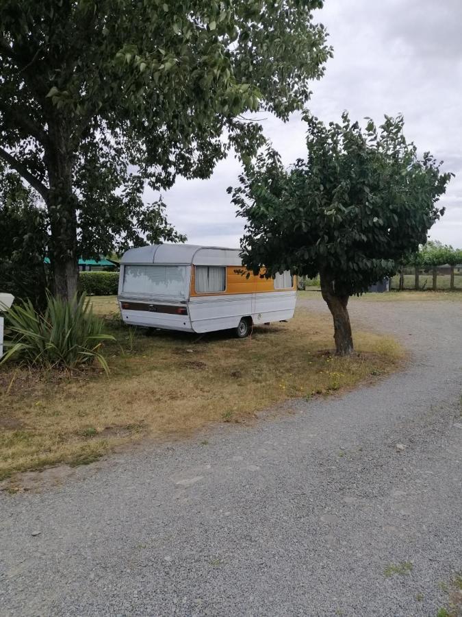 Rangiora Eco Holiday Park Fernside Esterno foto
